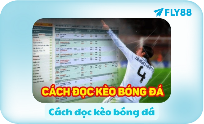 Blog FLY88 📰 Tin Tức, Hướng Dẫn, Mẹo Chơi, Review