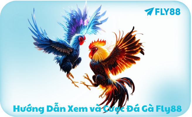 Đá Gà FLY88 - Trực Tiếp Campuchia, Thomo | Cược Từ 1K