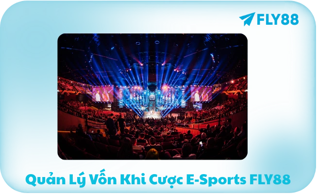 E-Sports FLY88 - LOL, Dota 2, CS2, Valorant | Kèo Live