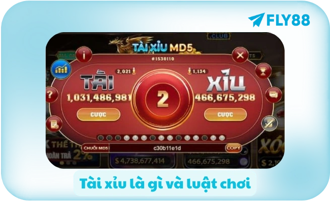 Cách Chơi Tài Xỉu Cho Người Mới 🎲 Hướng Dẫn A-Z | FLY88