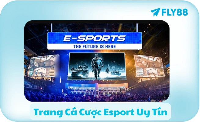 Blog FLY88 📰 Tin Tức, Hướng Dẫn, Mẹo Chơi, Review
