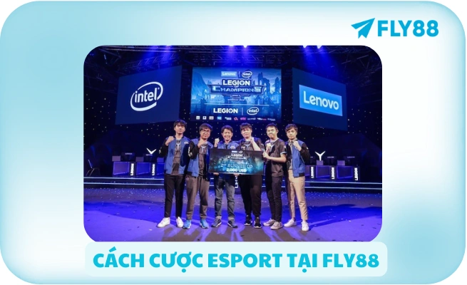 Trang Cá Cược Esport Uy Tín 🎮 Tỷ Lệ Cao, Rút Nhanh | FLY88