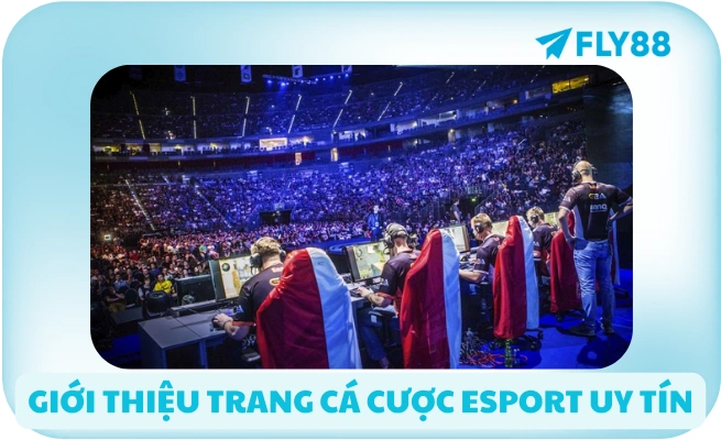 Trang Cá Cược Esport Uy Tín 🎮 Tỷ Lệ Cao, Rút Nhanh | FLY88