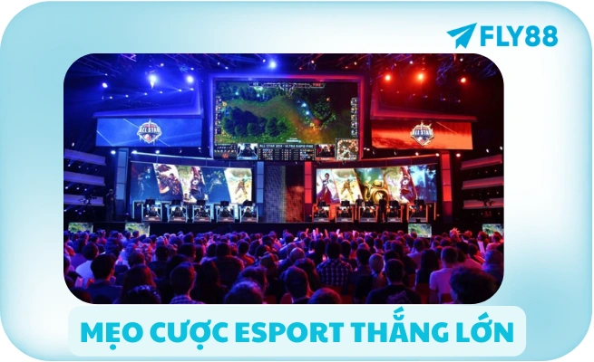 Trang Cá Cược Esport Uy Tín 🎮 Tỷ Lệ Cao, Rút Nhanh | FLY88