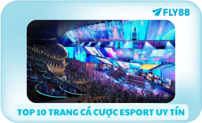 Trang Cá Cược Esport Uy Tín 🎮 Tỷ Lệ Cao, Rút Nhanh | FLY88